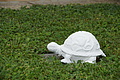 DSC06439 - Bernhard Saalfeld