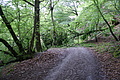 DSC06448 - Bernhard Saalfeld