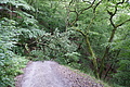 DSC06451 - Bernhard Saalfeld