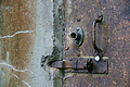 DSC06457 - Bernhard Saalfeld
