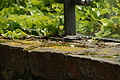 DSC06467 - Bernhard Saalfeld