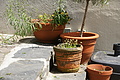 DSC06469 - Bernhard Saalfeld