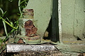 DSC06490 - Bernhard Saalfeld