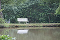 DSC06851 - Bernhard Saalfeld