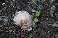 DSC06887 - Bernhard Saalfeld