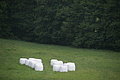 DSC06888 - Bernhard Saalfeld