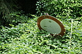DSC06889 - Bernhard Saalfeld