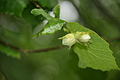 DSC06900 - Bernhard Saalfeld