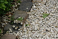 DSC06921 - Bernhard Saalfeld
