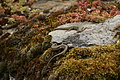 DSC06928 - Bernhard Saalfeld