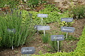 DSC06929 - Bernhard Saalfeld