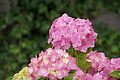DSC06932 - Bernhard Saalfeld