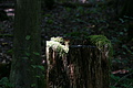DSC06937 - Bernhard Saalfeld