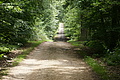 DSC06938 - Bernhard Saalfeld