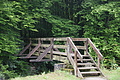 DSC06994 - Bernhard Saalfeld