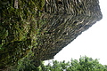 DSC07013 - Bernhard Saalfeld