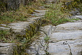 DSC07020 - Bernhard Saalfeld