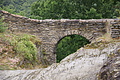 DSC07021 - Bernhard Saalfeld
