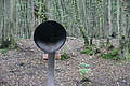 DSC07083 - Bernhard Saalfeld