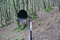 DSC07084 - Bernhard Saalfeld