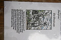 DSC07094 - Bernhard Saalfeld