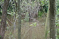 DSC07096 - Bernhard Saalfeld