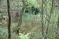 DSC07097 - Bernhard Saalfeld