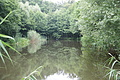 DSC07104 - Bernhard Saalfeld