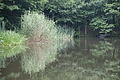DSC07105 - Bernhard Saalfeld