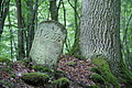 DSC07106 - Bernhard Saalfeld
