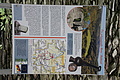 DSC07123 - Bernhard Saalfeld