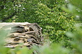 DSC07142 - Bernhard Saalfeld