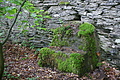DSC07153 - Bernhard Saalfeld