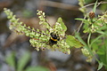 DSC07159 - Bernhard Saalfeld