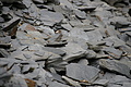 DSC07160 - Bernhard Saalfeld