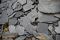 DSC07163 - Bernhard Saalfeld