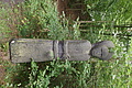 DSC07179 - Bernhard Saalfeld