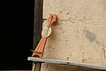 DSC07182 - Bernhard Saalfeld