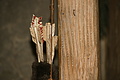 DSC07194 - Bernhard Saalfeld