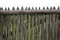 DSC07202 - Bernhard Saalfeld
