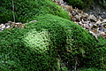 DSC07217 - Bernhard Saalfeld