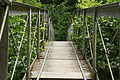 DSC07222 - Bernhard Saalfeld