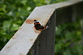 DSC07224 - Bernhard Saalfeld