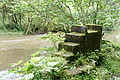 DSC07226 - Bernhard Saalfeld