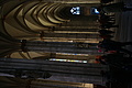 DSC00295 - Bernhard Saalfeld