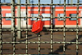 DSC00302 - Bernhard Saalfeld