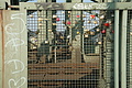 DSC00304 - Bernhard Saalfeld