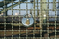 DSC00307 - Bernhard Saalfeld