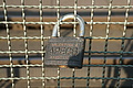 DSC00311 - Bernhard Saalfeld