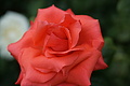 DSC02929 - Bernhard Saalfeld